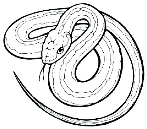 Online coloring book: Modest anaconda coloring book